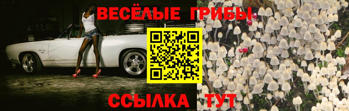 Сургут  Галлюциногенные грибы GOLDEN TEACHER  Псилоцибиновые грибы прущие грибы  Вход с VPN 