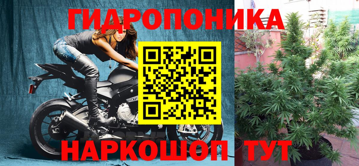 Каннабис гибрид Сургут